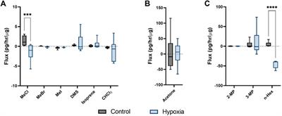 GC/MS analysis of hypoxic volatile metabolic markers in the MDA-MB-231 breast cancer cell line